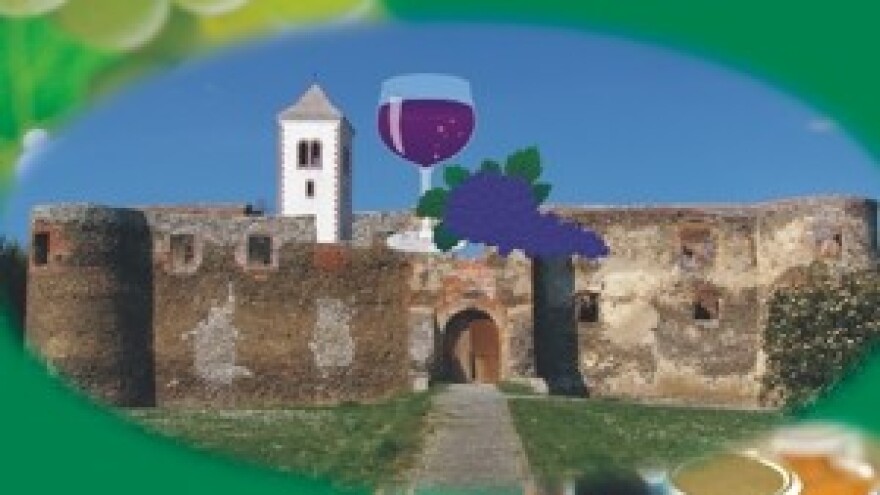 Kako je nastao sajam Vino-kap?