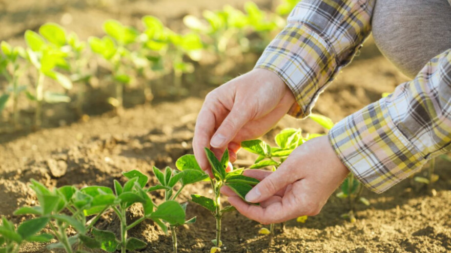 Zakoni neusaglašeni s EU koče bh poljoprivredu