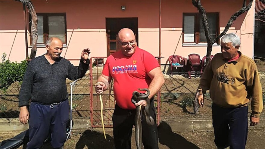 Vladica Stanković dugo godina sa zmijama na TI?