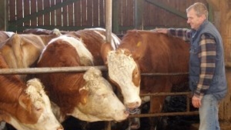 Početak kraja hrvatske mljekarske industrije?