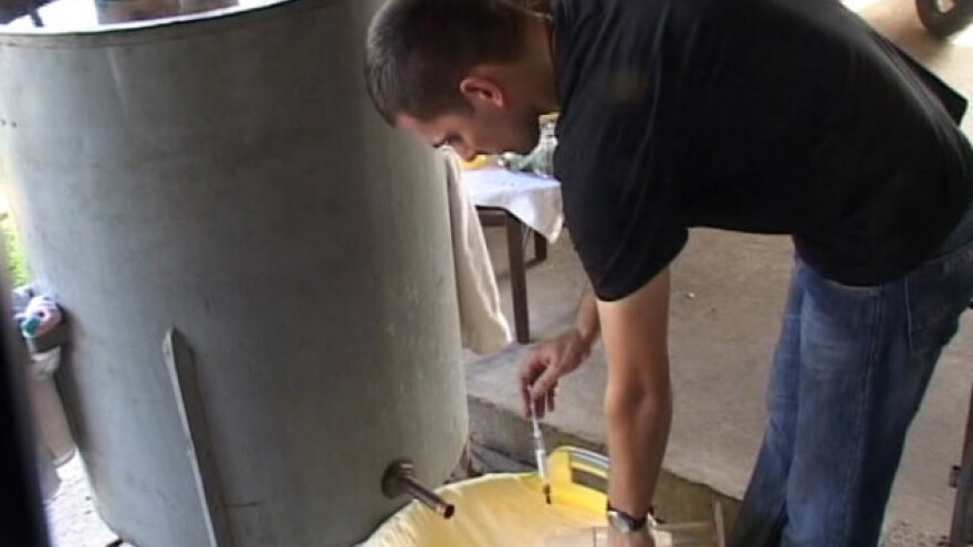 Vlado Stokić - pravnik koji uzgaja leskovačku dunju