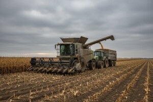 Vlaga usporava skidanje kukuruza