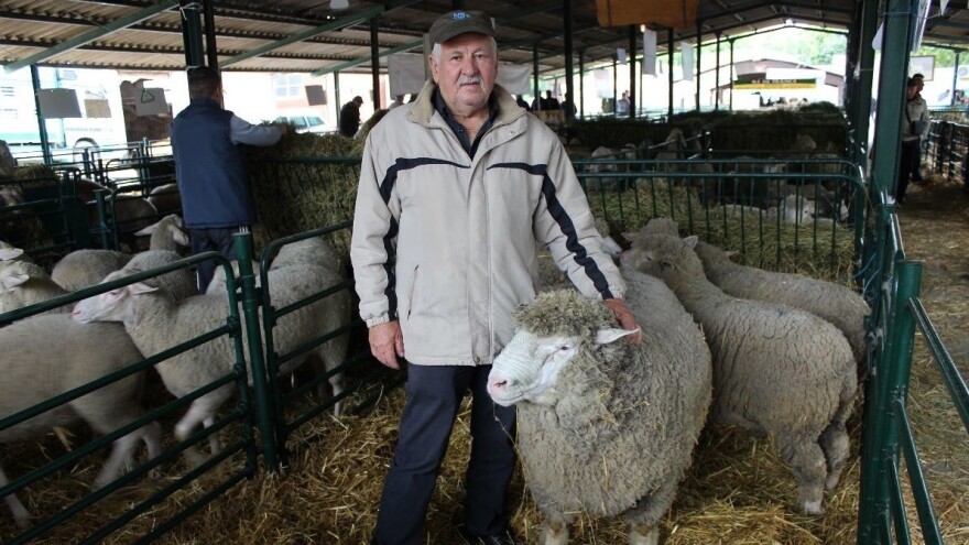 Vlajko Jovešić: Il de frans iz Srbije može da parira francuskom