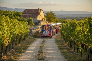 Vlakom kroz konavoske vinograde
