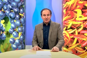 Plodovi zemlje slave 65. rođendan. Čestitamo!