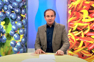 Plodovi zemlje slave 65. rođendan. Čestitamo!