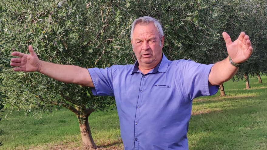 Hrvatski maslinari drugi na najvećem svjetskom natjecanju u New Yorku!