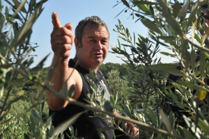 Dr. Ivica Vlatković: Ulja od maslina toćanih u moru nisu za ljudsku upotrebu!