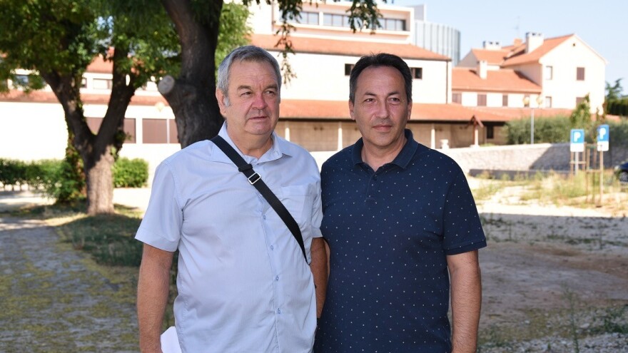 Osnovana Udruga maslinara Zadarske županije