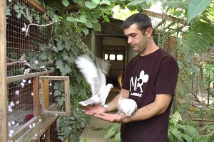 Arpad Kosoruš u porodičnom dvorištu napravio mini zoo-vrt