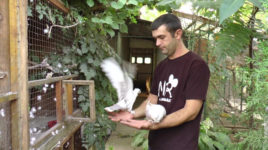 Arpad Kosoruš u porodičnom dvorištu napravio mini zoo-vrt