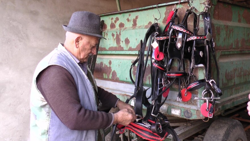 Ko tvrdi da ima najbolje polukrvne engleske riđe konje?