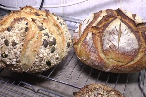 Prirodan kvasac za domaći hljeb punog ukusa i niske kaloričnosti