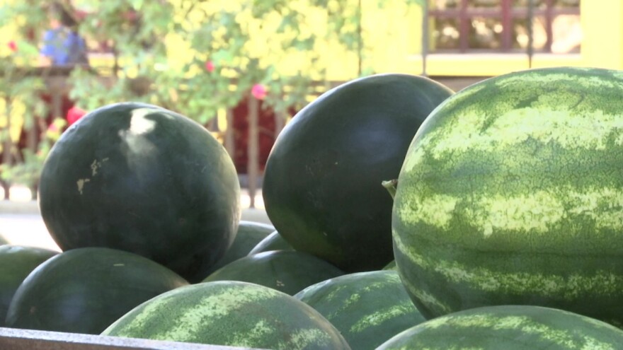 Velika količina zrelih lubenica "zagušila" tržište i usporila prodaju