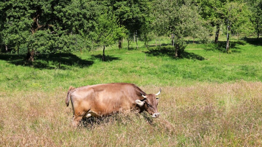 182,9 milijuna eura za promociju poljoprivredno-prehrambenih proizvoda EU