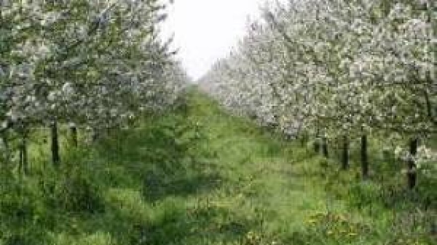 Za edukaciju većina, investicije baš i ne