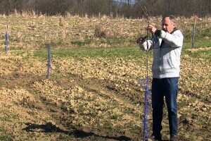 Srčika, slavonika i zelenika neke su od sorti koje je Mirko Đanić posadio uz pomoć IAKS mjera