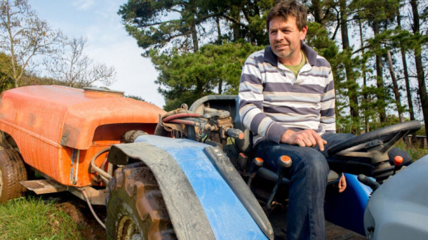 Salmonela je samo početak inspekcijske groznice