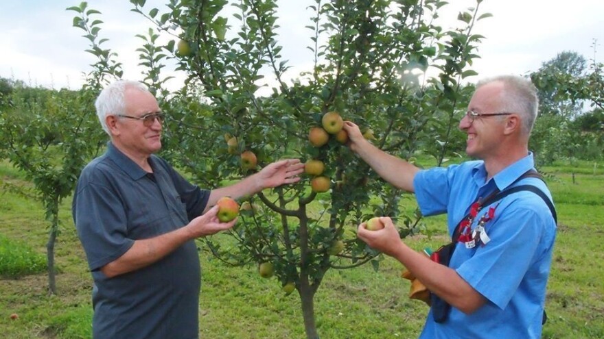 Petar Gogić jedan je od 'krivaca' za očuvanje starih sorti voća, uzgaja ih na sjemenjacima