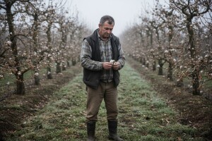 Voćari i povrćari na rubu propasti