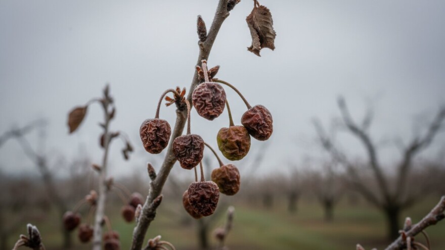 Voćari i povrćari u nezavidnoj situaciji