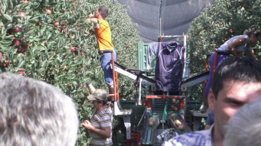 Podsticaji 60 miliona KM? Neprihvatljivo!