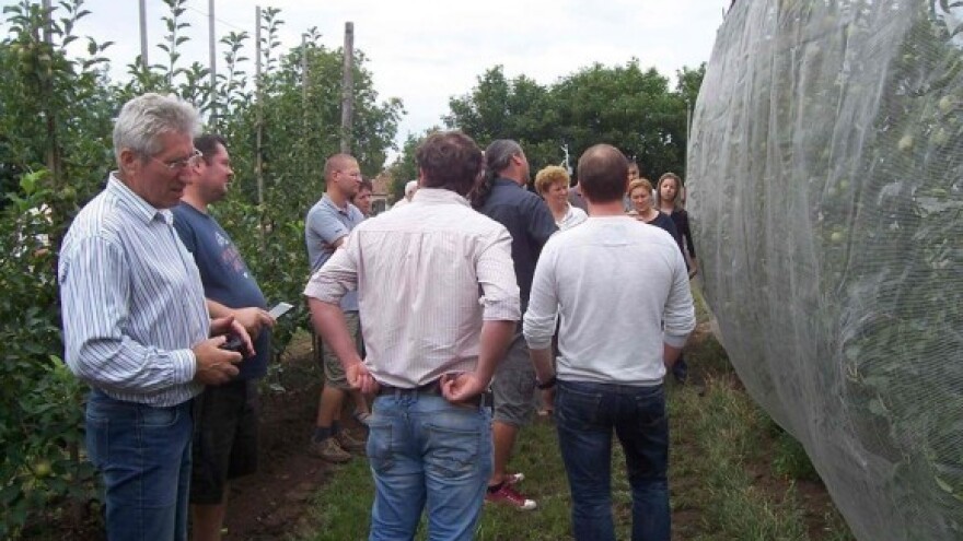 Potpore za podizanje trajnih nasada