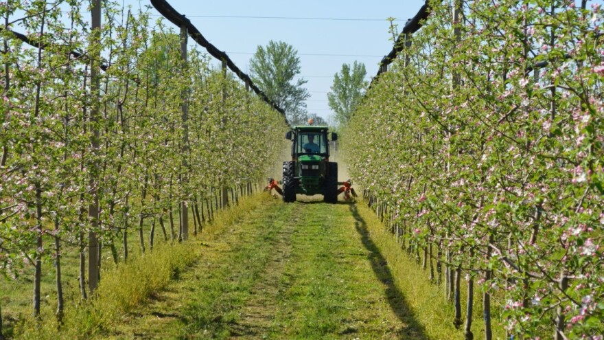 Zašto je važna obrada zemljišta u voćnjacima? Koje greške izbeći?