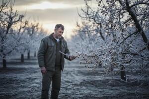 Voćari traže pomoć države