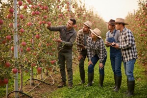 Voćarska radionica u Feričancima