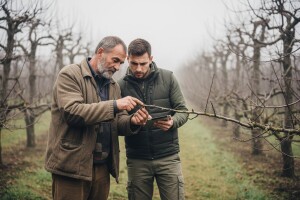 Voćarska radionica u sklopu projekta JABUKA.NET 2 u Srbiji