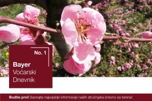 Bayer voćarski dnevnik No. 1 - obavijest proizvođačima koštičavog voća