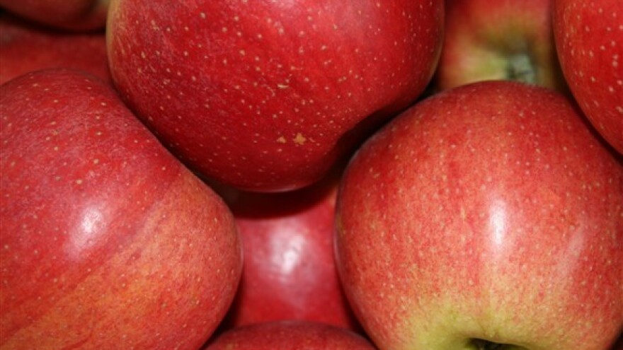 Savjetovanje hrvatskih voćara