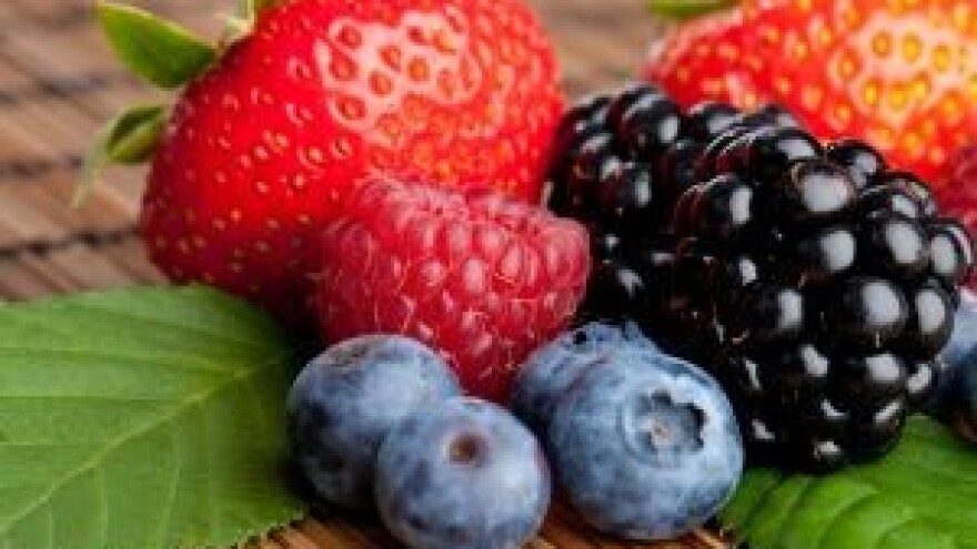 Kinezi žele investirati u srpsko voćarstvo