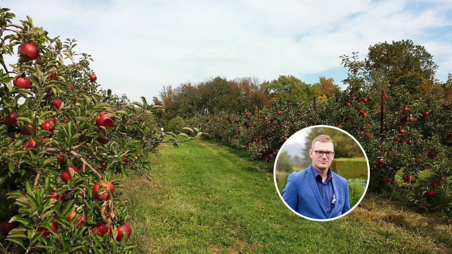 Almir Juzunović: BiH ima dobre agroekološke uslove za proizvodnju voća i dobre perspektive za izvoz