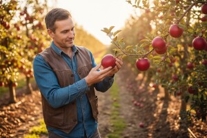 Voćarstvo ima potencijal za 50.000 novih radnih mjesta