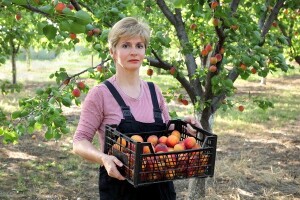 Pojačana potražnja za voćem i mesom iz Srbije