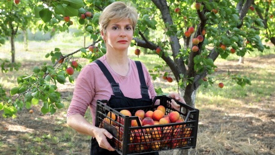 Pojačana potražnja za voćem i mesom iz Srbije