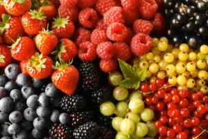 Vrgorac dobiva otkupni centar za poljoprivredne proizvode