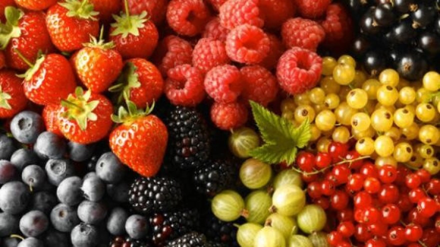 Vrgorac dobiva otkupni centar za poljoprivredne proizvode