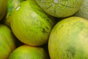 Limelon - nova sorta voća na europskom tržištu