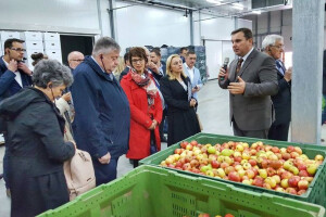 Krizni fond za poljoprivredu rješenje za nepogode?