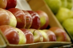 Prijave za prodajnu izložbu voća Koprivničke županije