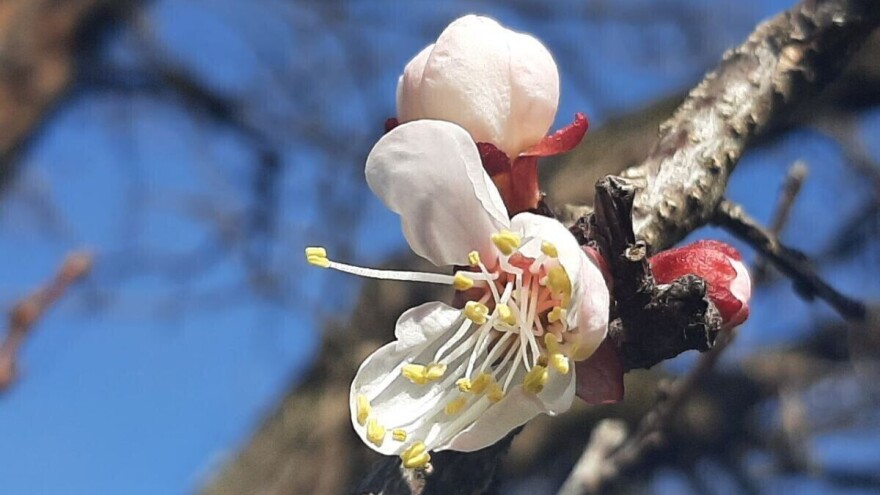 Babine huke "triput će posoliti": Smjene kiše, sunca i snijega