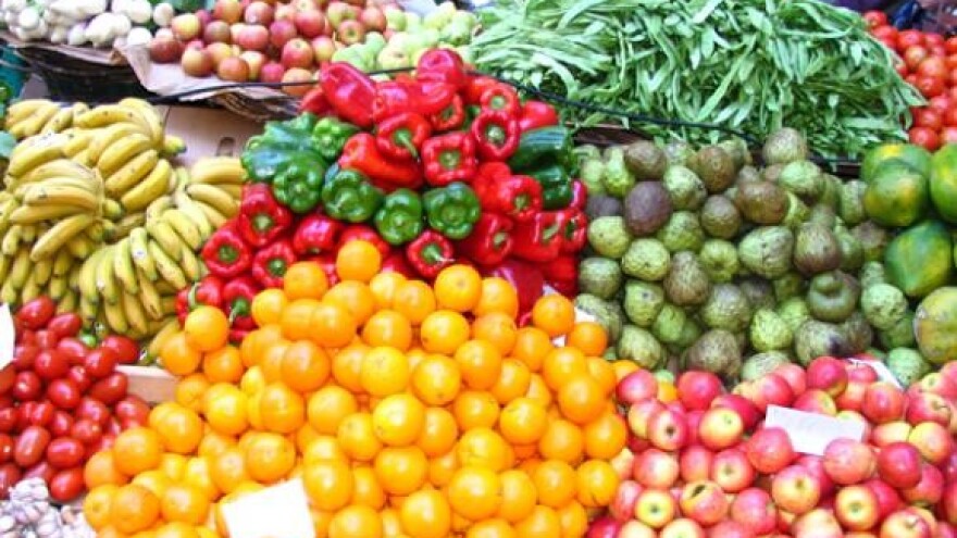 Programi, projekti i mjere u poljoprivredi