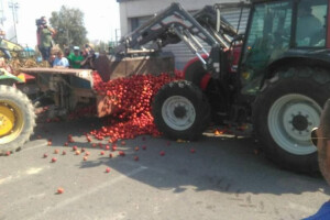 Prekipjelo im - voće umjesto na policama završilo na ulici!