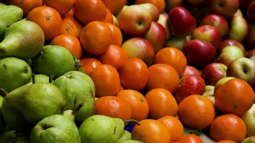 Savjetovanje hrvatskih voćara