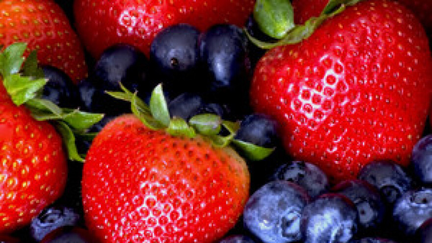 Proizvodnja voćnih ekolikera