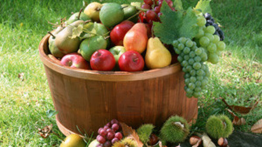 Dani voća u Đurđevcu