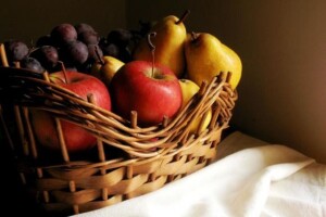 Specijalistička radionica odjela za zaštitu bilja